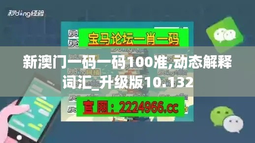 新澳门一码一码100准,动态解释词汇_升级版10.132