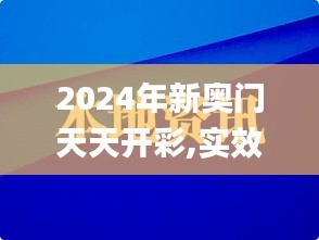 2024年新奥门天天开彩,实效性策略解读_网页款1.738