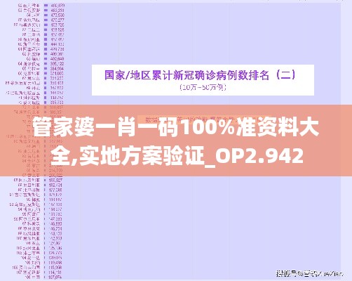 管家婆一肖一码100%准资料大全,实地方案验证_OP2.942