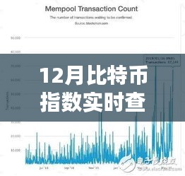 12月比特币指数实时查询，全面评测与详细介绍