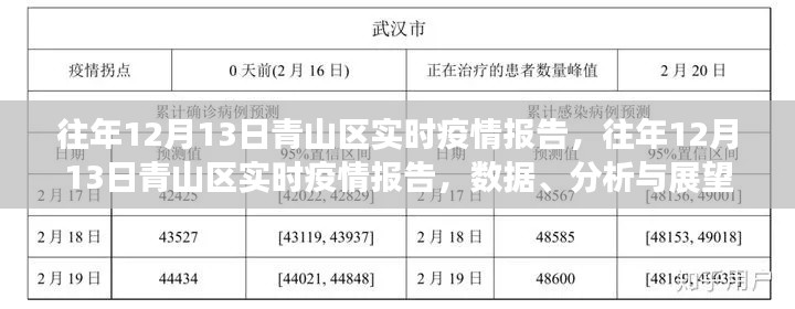 往年12月13日青山区疫情实时报告，数据、分析与未来展望