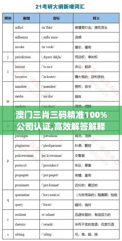 澳门三肖三码精准100%公司认证,高效解答解释定义_钱包版10.807