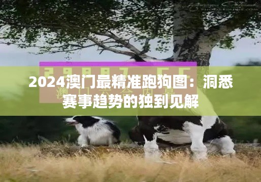 2024澳门最精准跑狗图：洞悉赛事趋势的独到见解