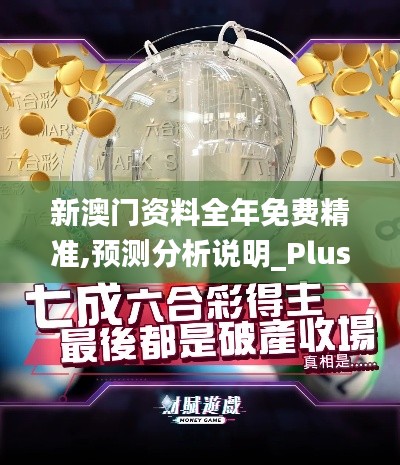 新澳门资料全年免费精准,预测分析说明_Plus4.689