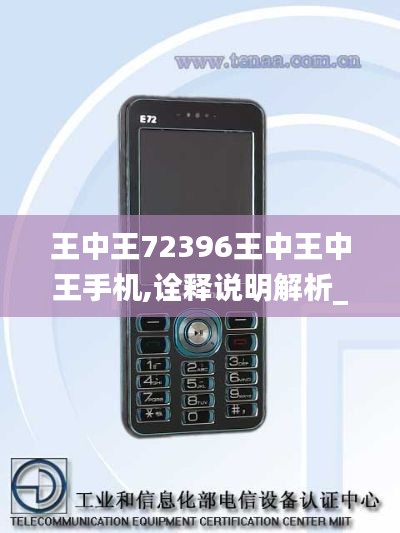 王中王72396王中王中王手机,诠释说明解析_Elite7.866