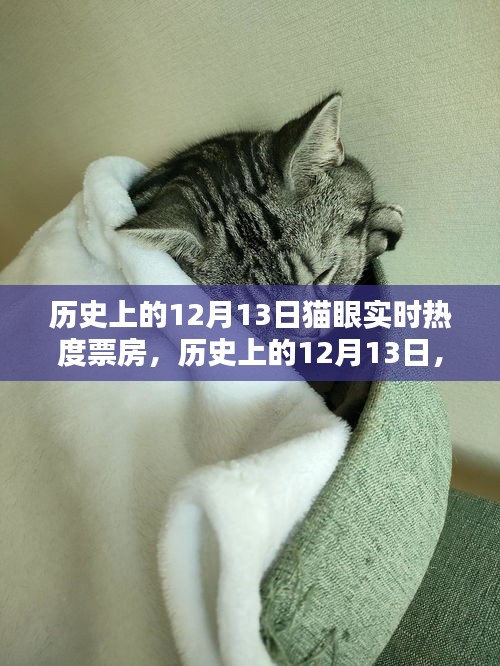 深度解析，历史上的12月13日猫眼实时热度票房数据回顾