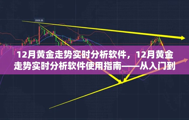 从入门到进阶，12月黄金走势实时分析软件使用指南与深度解析