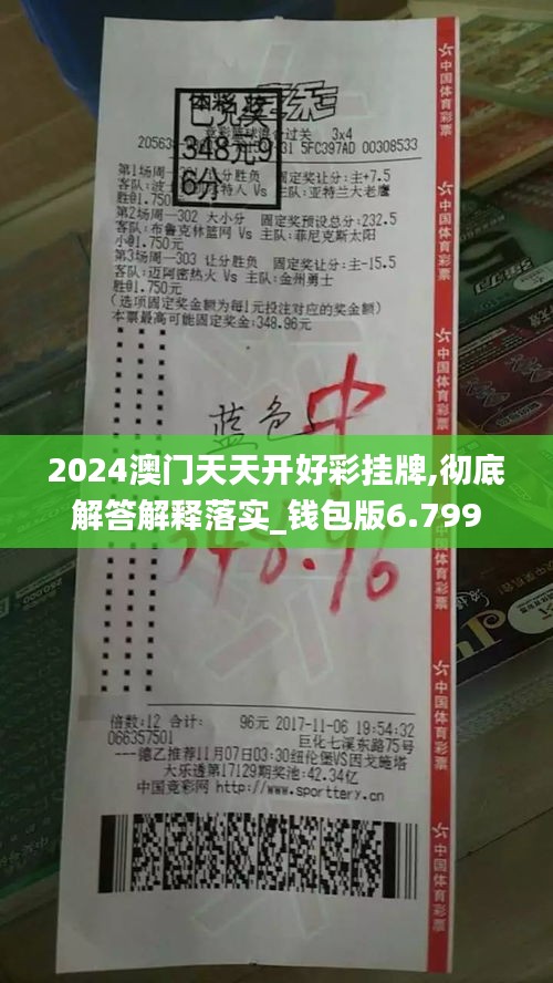 2024澳门天天开好彩挂牌,彻底解答解释落实_钱包版6.799