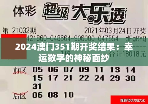 2024澳门351期开奖结果：幸运数字的神秘面纱