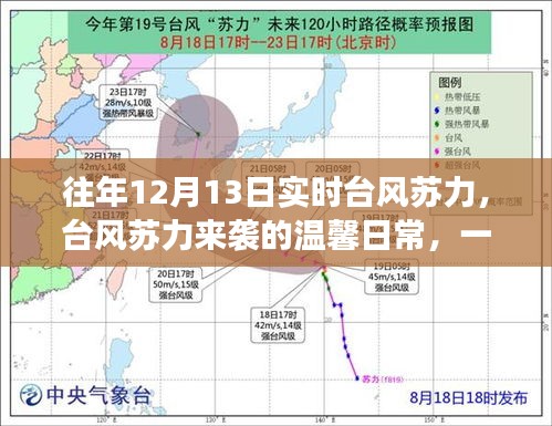 台风苏力来袭的温馨日常，友情邂逅暖心时刻