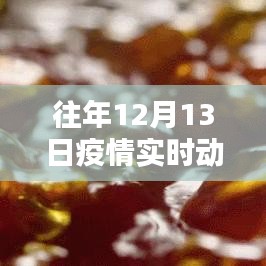 历年12月13日疫情下的坚守与希望，深度解析实时动态纪录片回顾