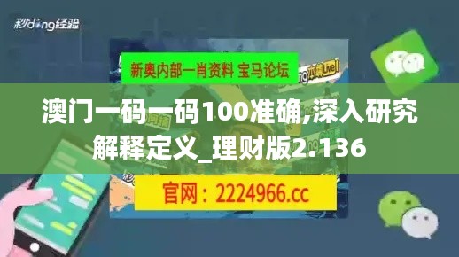 澳门一码一码100准确,深入研究解释定义_理财版2.136