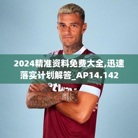 2024精准资料免费大全,迅速落实计划解答_AP14.142