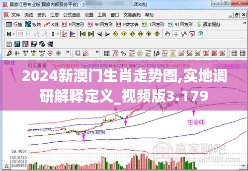 2024新澳门生肖走势图,实地调研解释定义_视频版3.179