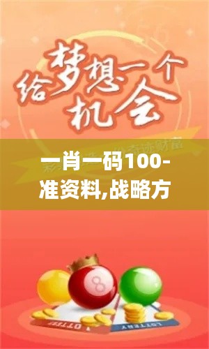 一肖一码100-准资料,战略方案优化_免费版13.457