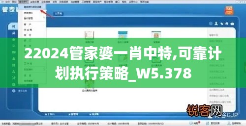 22024管家婆一肖中特,可靠计划执行策略_W5.378