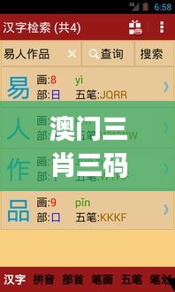 澳门三肖三码精准100%新华字典,全面执行计划数据_3DM2.682