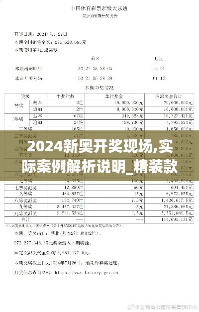 2024新奥开奖现场,实际案例解析说明_精装款1.506