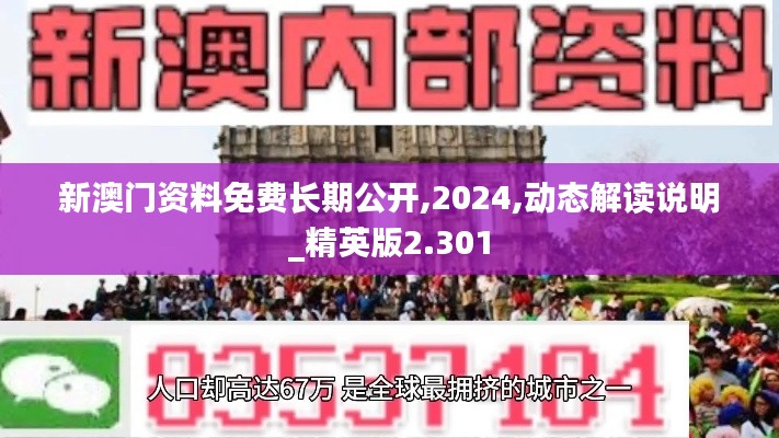 新澳门资料免费长期公开,2024,动态解读说明_精英版2.301