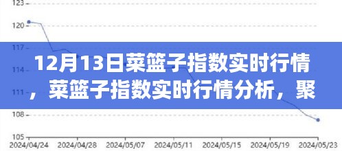 12月13日菜篮子指数实时行情及分析，市场波动与影响一览