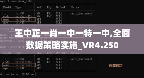 王中正一肖一中一特一中,全面数据策略实施_VR4.250