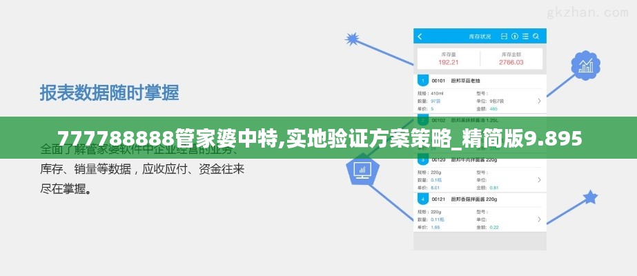 777788888管家婆中特,实地验证方案策略_精简版9.895