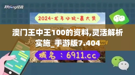 澳门王中王100的资料,灵活解析实施_手游版7.404