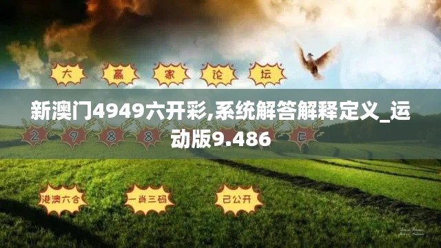 新澳门4949六开彩,系统解答解释定义_运动版9.486