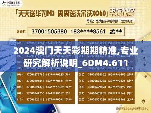 2024澳门天天彩期期精准,专业研究解析说明_6DM4.611