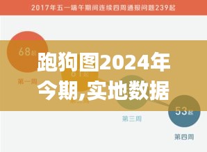 跑狗图2024年今期,实地数据评估执行_交互版1.608