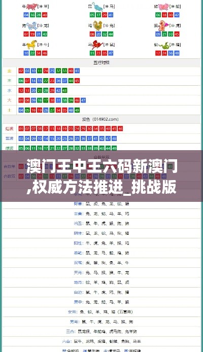 澳门王中王六码新澳门,权威方法推进_挑战版4.304