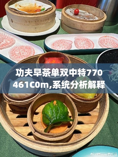 功夫早茶单双中特770461C0m,系统分析解释定义_4DM18.316