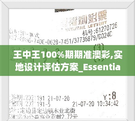 王中王100%期期准澳彩,实地设计评估方案_Essential2.191