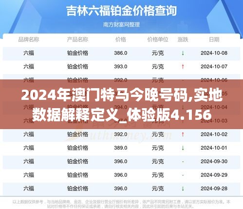 2024年澳门特马今晚号码,实地数据解释定义_体验版4.156