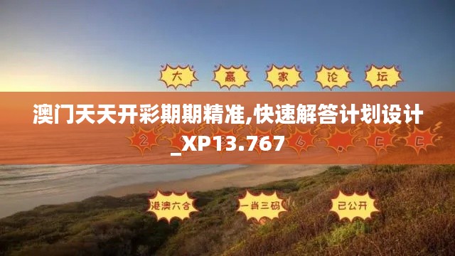 澳门天天开彩期期精准,快速解答计划设计_XP13.767