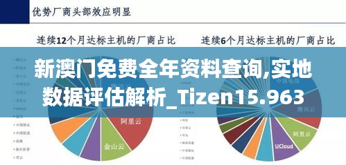 新澳门免费全年资料查询,实地数据评估解析_Tizen15.963