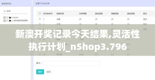 新澳开奖记录今天结果,灵活性执行计划_nShop3.796