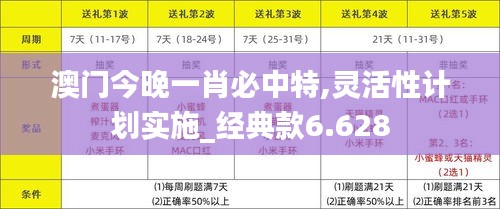 澳门今晚一肖必中特,灵活性计划实施_经典款6.628