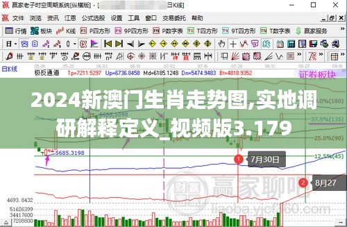 2024新澳门生肖走势图,实地调研解释定义_视频版3.179