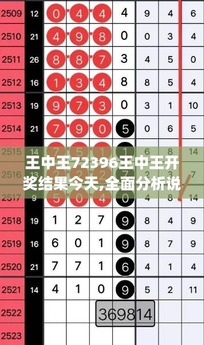 王中王72396王中王开奖结果今天,全面分析说明_专业款16.654