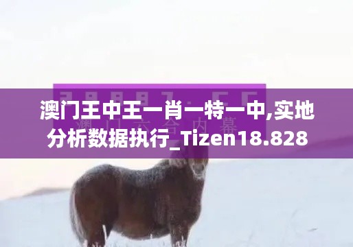 澳门王中王一肖一特一中,实地分析数据执行_Tizen18.828