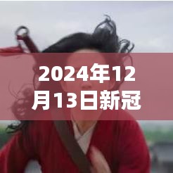 北京新冠肺炎实时状况多元观点探析（2024年12月13日）