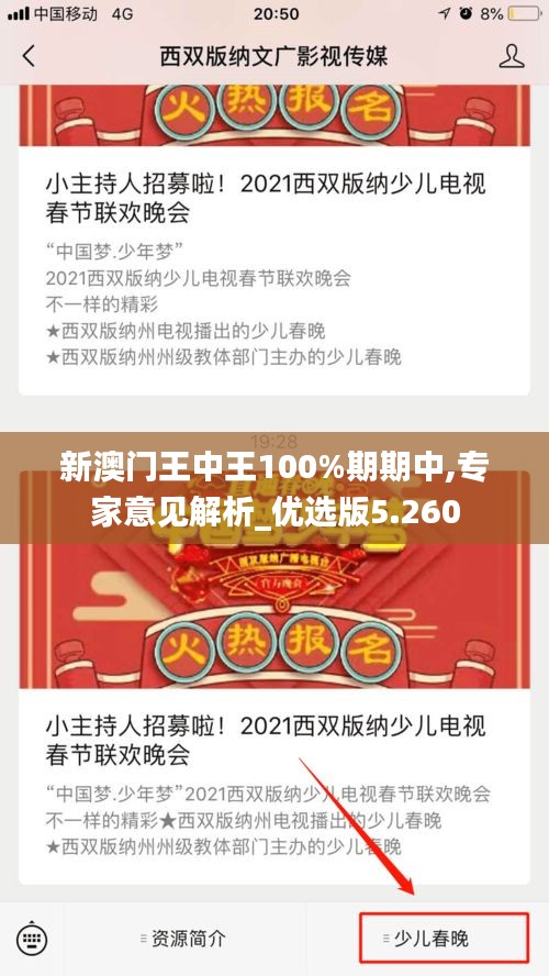 新澳门王中王100%期期中,专家意见解析_优选版5.260