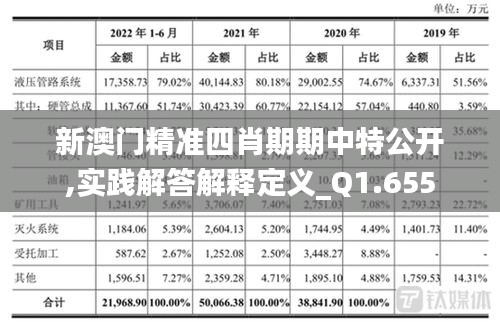 新澳门精准四肖期期中特公开,实践解答解释定义_Q1.655