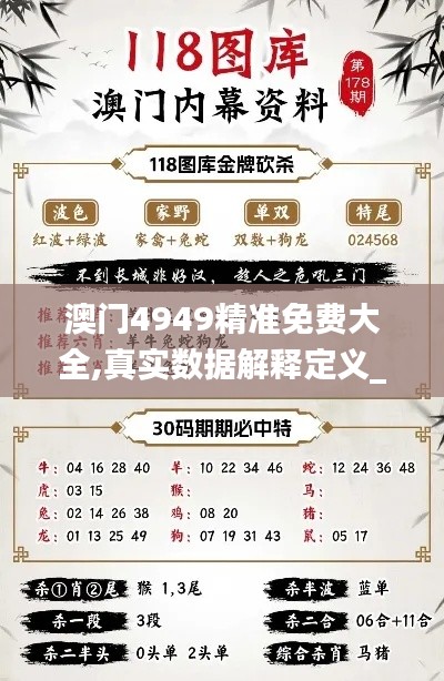 澳门4949精准免费大全,真实数据解释定义_经典款6.204