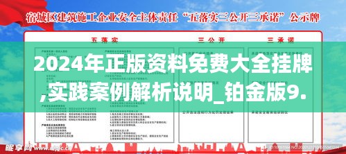 2024年正版资料免费大全挂牌,实践案例解析说明_铂金版9.670