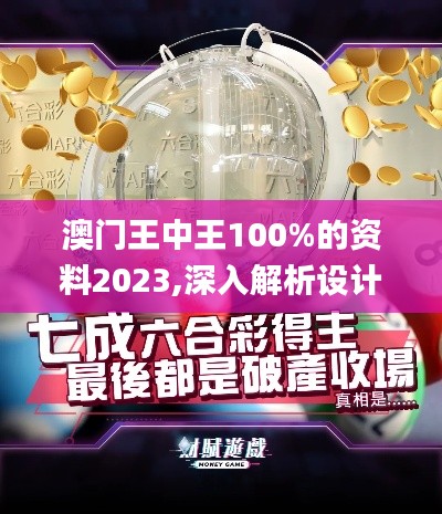 澳门王中王100%的资料2023,深入解析设计数据_VR8.530