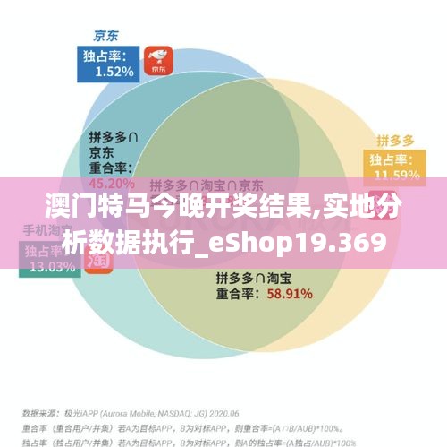 澳门特马今晚开奖结果,实地分析数据执行_eShop19.369