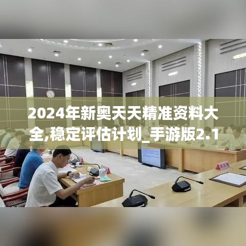 2024年新奥天天精准资料大全,稳定评估计划_手游版2.138