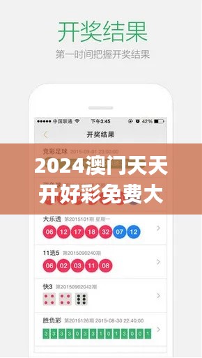 2024澳门天天开好彩免费大全,实地验证分析数据_V2.919